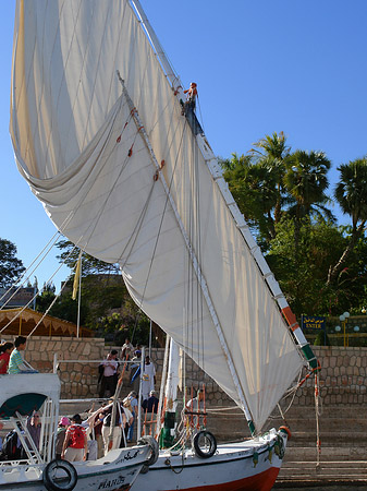 Foto Felucca