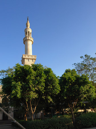 Fotos Moschee in Luxor | Luxor