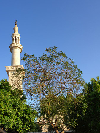 Fotos Moschee in Luxor | Luxor