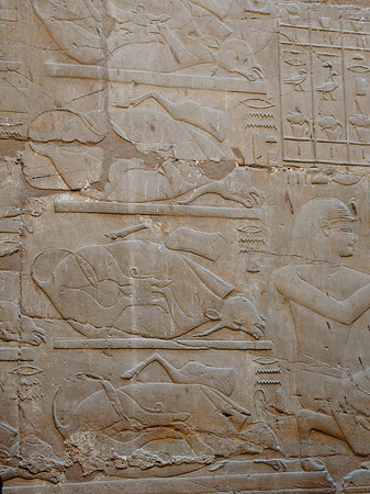 Foto Hieroglyphen