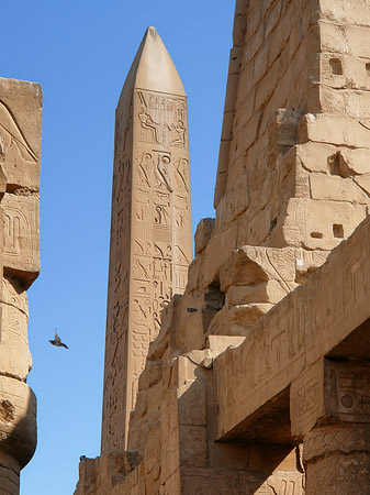 Foto Obelisk - Luxor