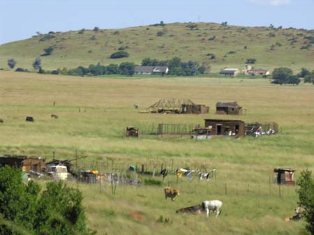 Foto Landschaften - 