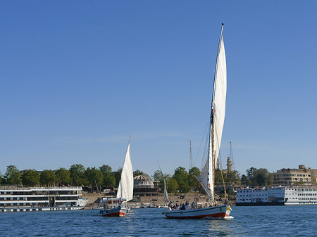 Felucca