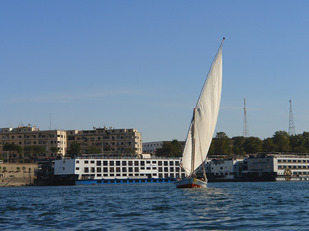 Felucca