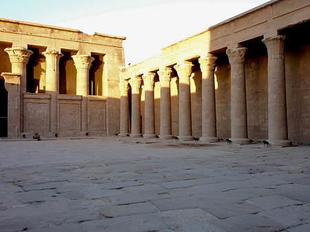 Horus Tempel