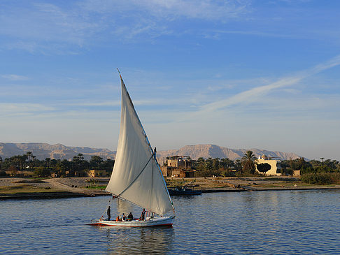 Fotos Felucca | 