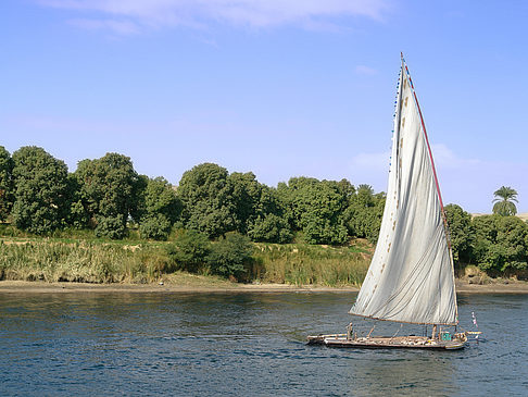 Felucca