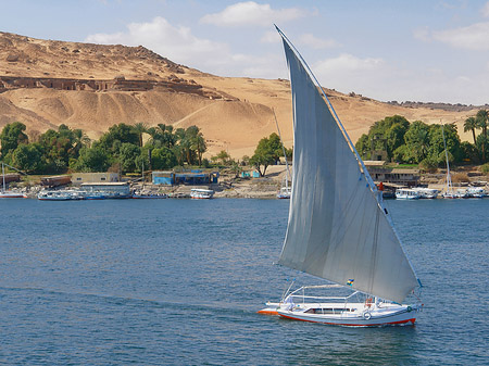 Felucca