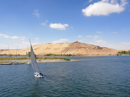 Foto Felucca