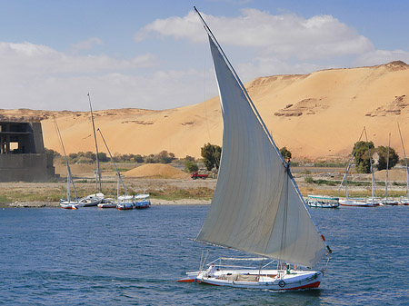 Felucca