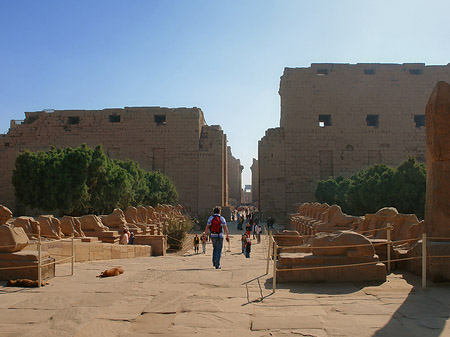 Karnak Tempel Foto 