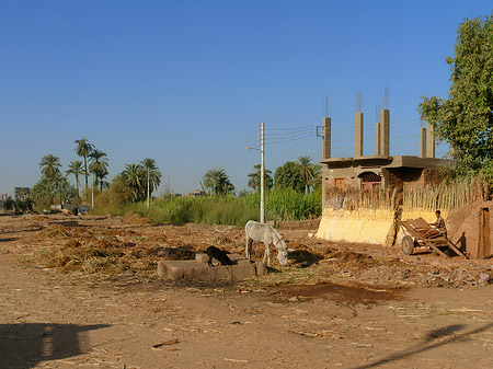 Fotos Hütten | Luxor