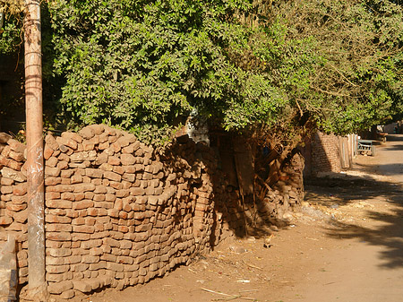 Foto Hütten - Luxor