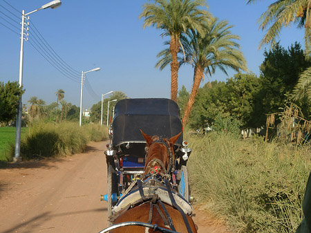 Foto Kutschen - Luxor