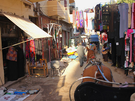 Fotos Markt | Luxor