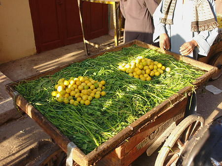 Foto Markt - Luxor