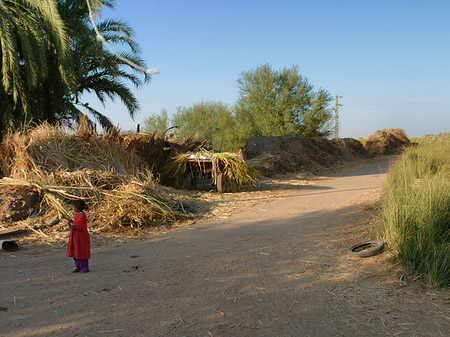 Foto Menschen - Luxor