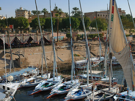 Felucca