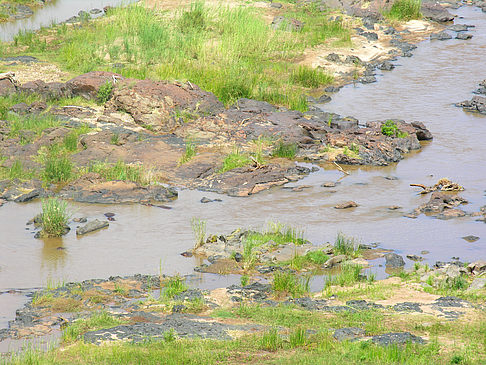 Foto Fluss in Olifants