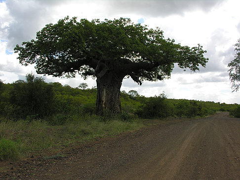 Fotos Straßen