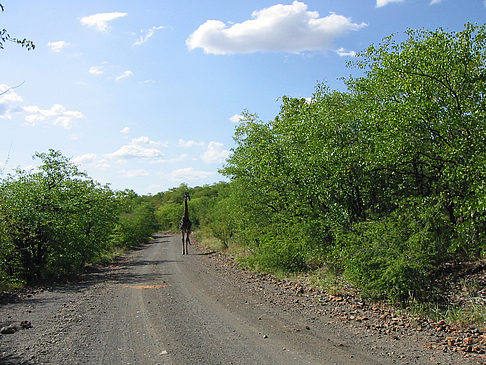 Fotos Straßen