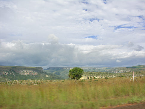 Foto Straßenränder