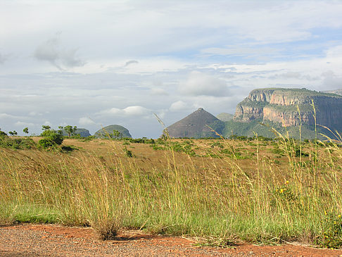 Fotos Straßenränder | Blyde River Canyon