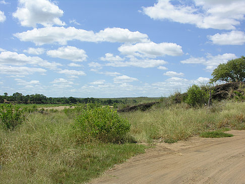 Fotos Straßenränder