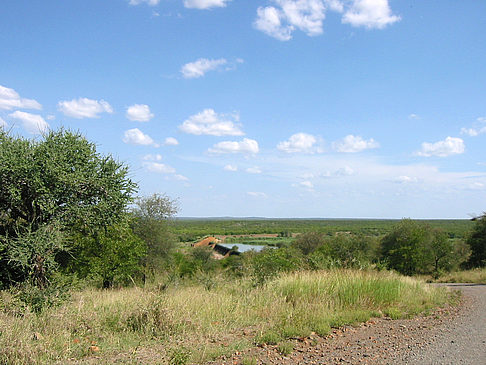 Straßenränder Foto 