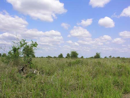 Fotos Landschaften