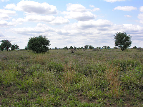 Landschaften Foto 