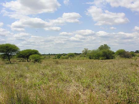 Landschaften