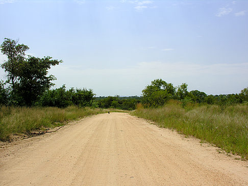 Foto Straßen - 