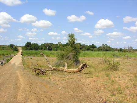 Foto Straßen - 