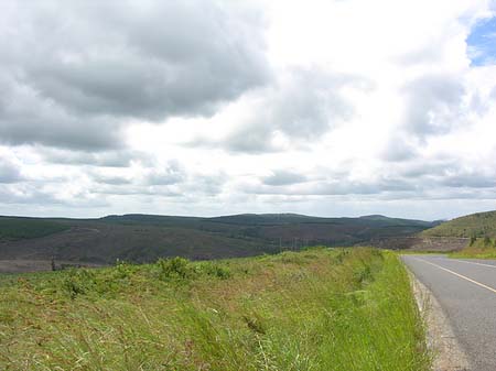 Straßenränder Foto 