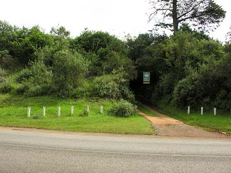 Foto Straßenränder - Hazyview