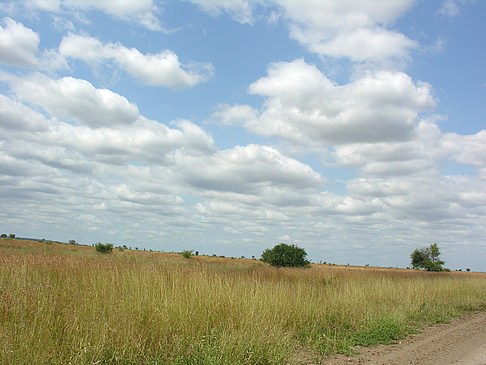 Straßenrand