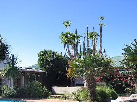 Grundstück in Mossel Bay