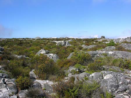 Foto Landschaften