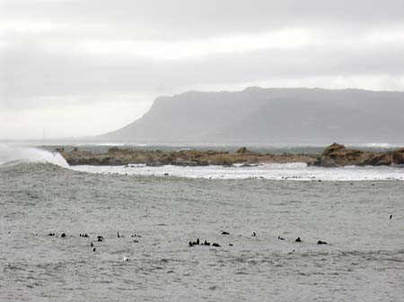 Fotos Der Tafelberg hinter dem Meer