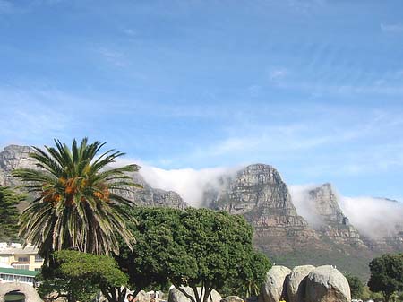 Der Tafelberg Fotos